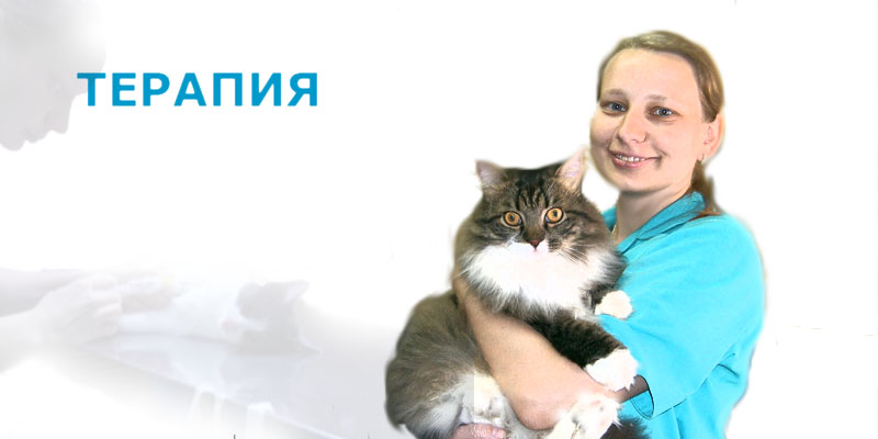 Терапия